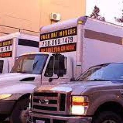 Packrat Movers