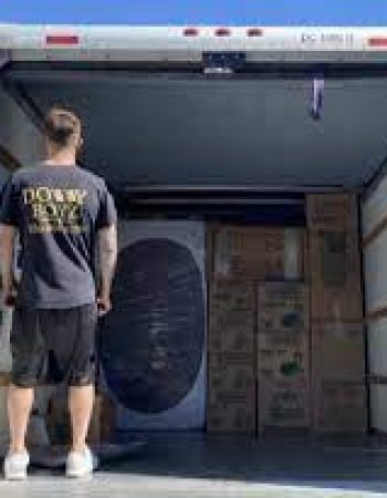 Dolly Boyz Moving Co