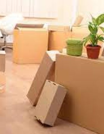 Rainforest Moving and Storage