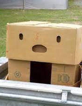 Green’s Moving Solutions