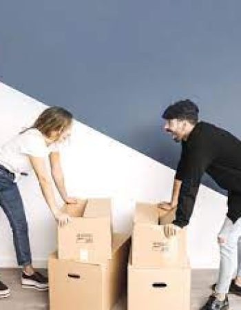 Great Little Moving Company