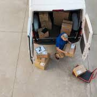 CANADIAN LIONS MOVING