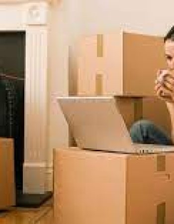 Real Pro Movers