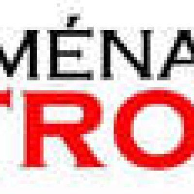 METROPOLE MOVING
