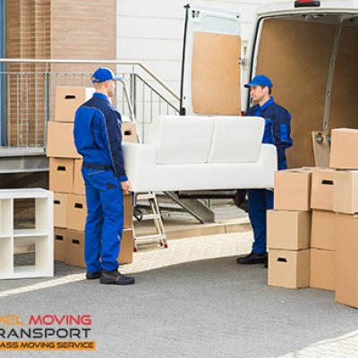 Camel Moving Transport and Storage