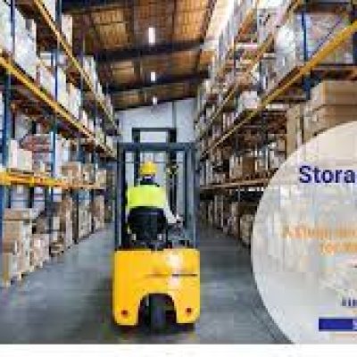 4 LIFE MOVERS INC