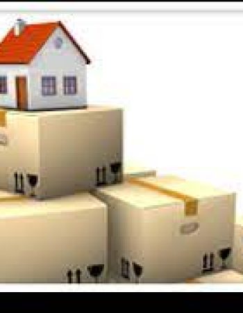 Transitions – Moving & Downsizing