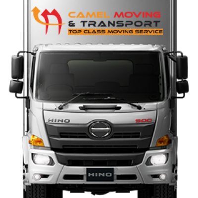 Camel Moving Transport and Storage