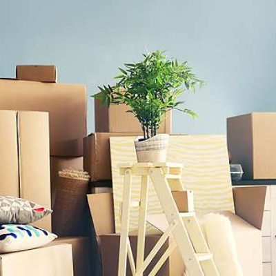 Professional Movers