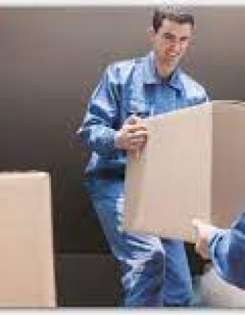 Spicer’s Mover Ltd