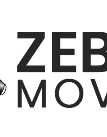 Zebra Movers Barrie