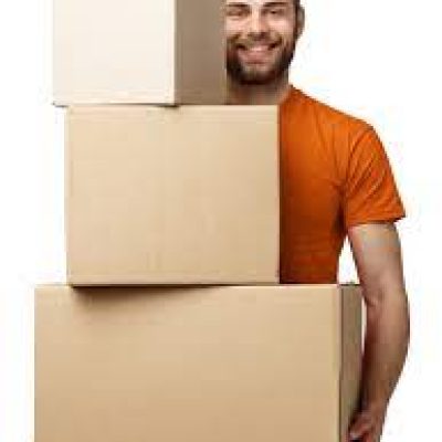 Mike The Mover
