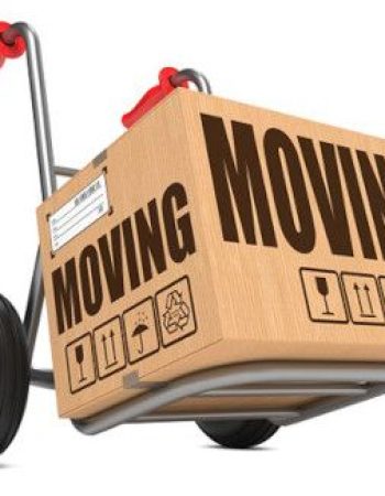Barrie Specialized Moving