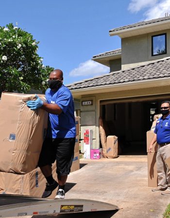 Pro moving systems