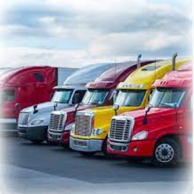Raptor Movers