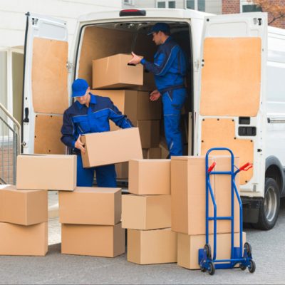 Raptor Movers