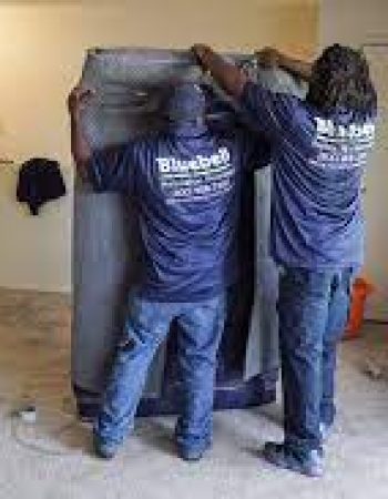 Bluebell Relocation Services