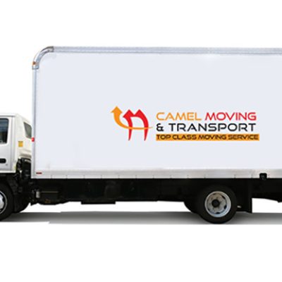 Camel Moving Transport and Storage