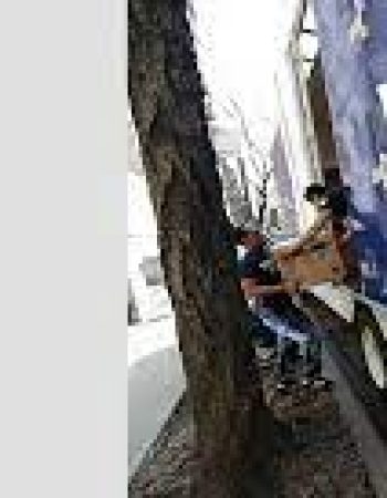 Veteran Movers NYC