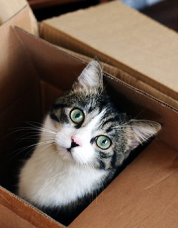 Key Moving & Storage Inc
