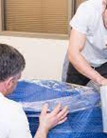 Zebra Movers Barrie