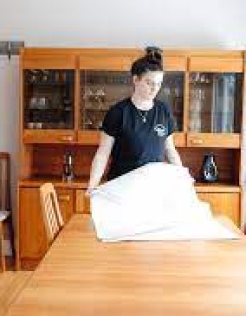 The Seniors Moving Company