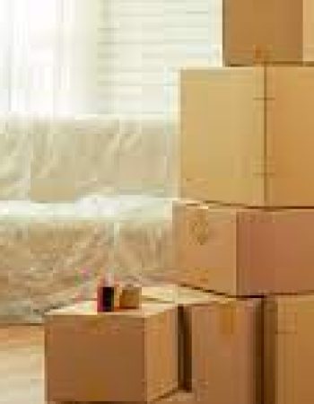 Zebra Movers Barrie
