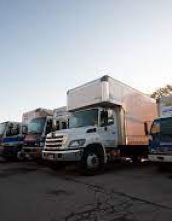 Miracle Movers