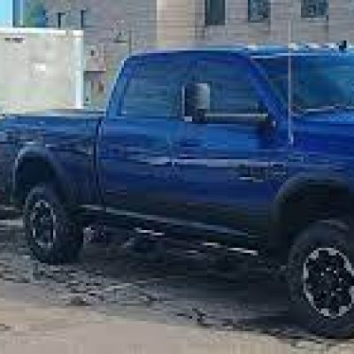 Moncton Xtreme Movers