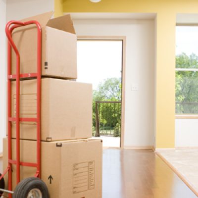 Wayne’s Moving