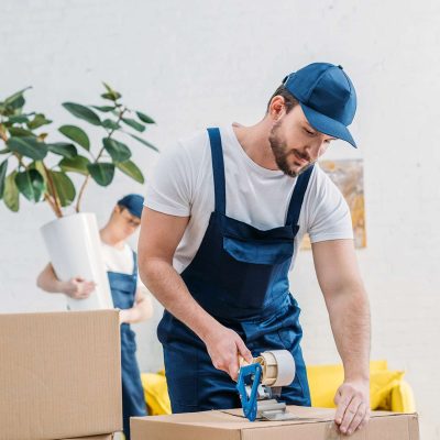 Professional Movers
