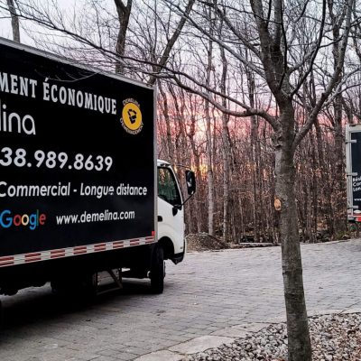 Demelina Moving