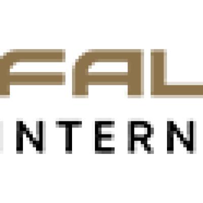 Falcon International