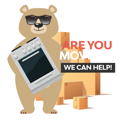 Micro Moves Inc