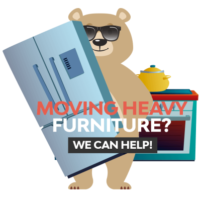 Micro Moves Inc