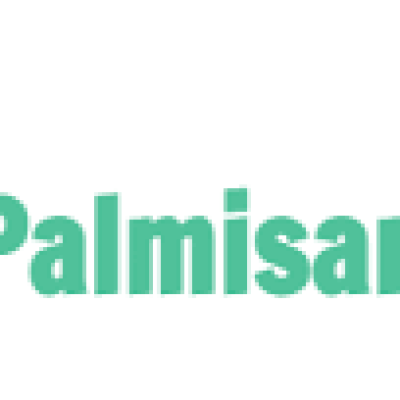 Ralph Palmisano Movers Inc
