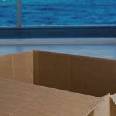 Best Movers of Windermere and Winter Garden