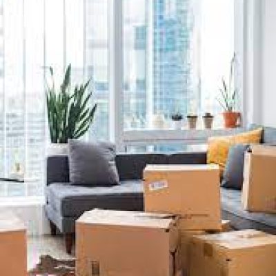 Mohegan Movers