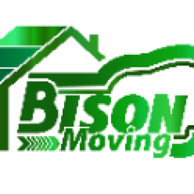 Bison Moving
