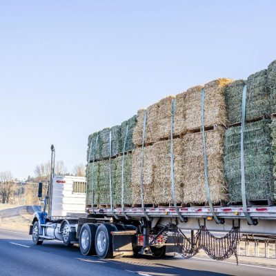 GAP Transport Logistics inc