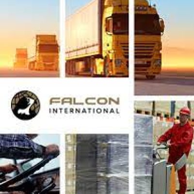 Falcon International