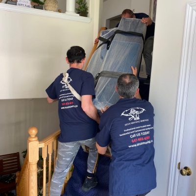 Zeus Moving Services LTD