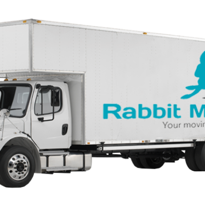 Rabbit Moving