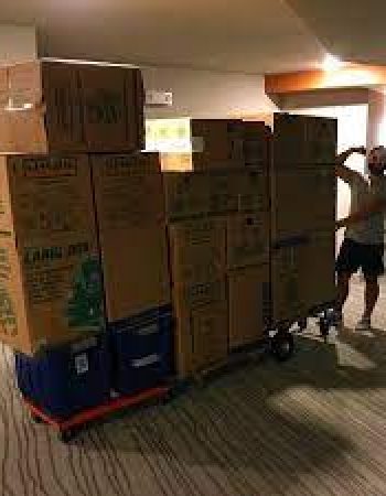 BEST USA MOVERS ORLANDO