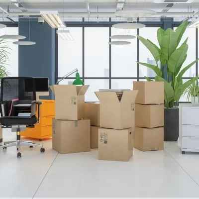Advance Moving
