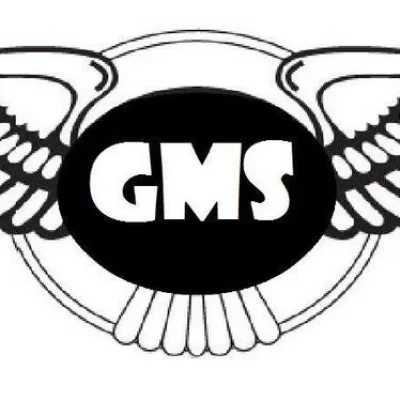 Gentleman Moving Service