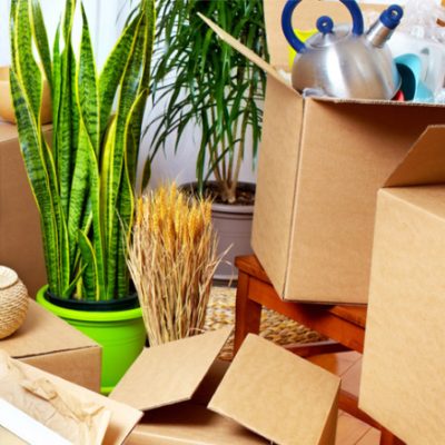 HouseLife Services