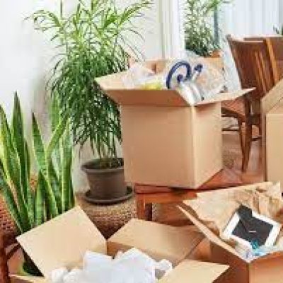 DFW Packing Pros