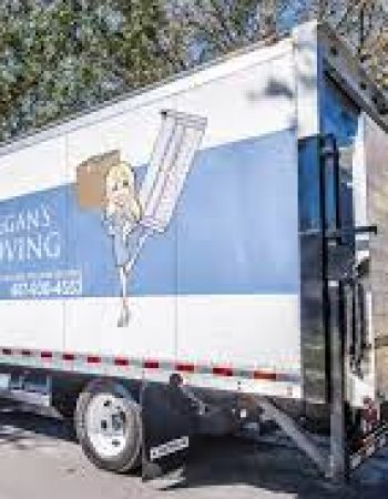 Megan’s Moving