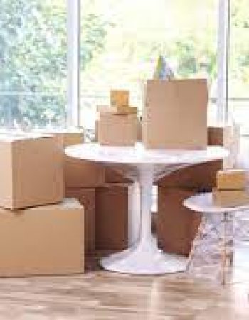 Move Smart LLC